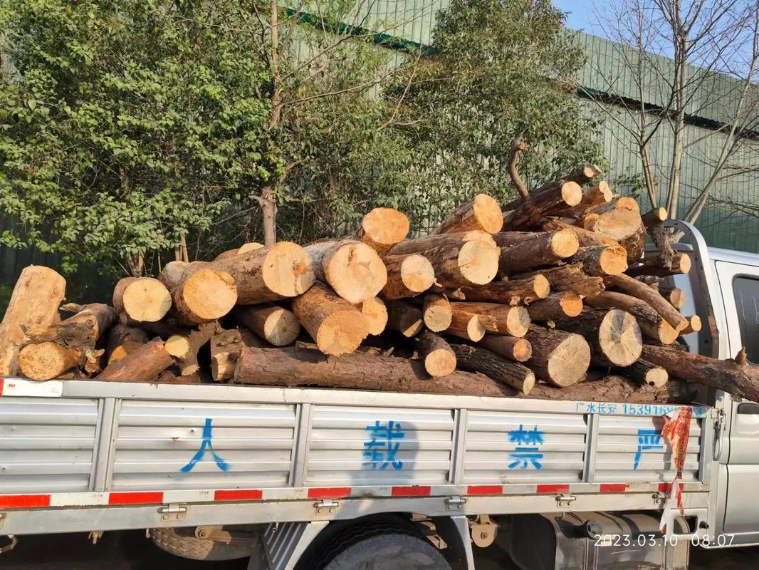 广水大量收购各种木材，专业上门装车服务