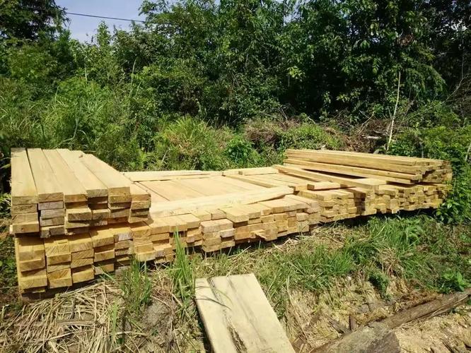 收购各类木材,出售各规格原木,加工订做销售各类家具用材,建筑用材